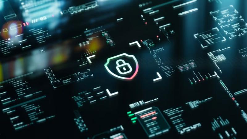 东营区软件开发公司